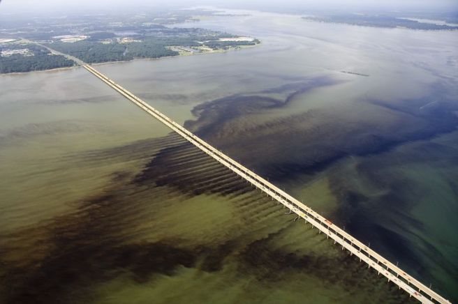 Image from Virginia Institute of Marine Science (VIMS)